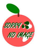 画像なし